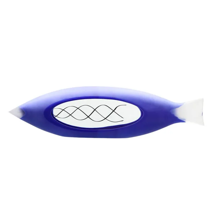 Don Romano Necklaces Spiral fish Ocean blue