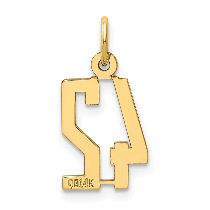 Charm Necklaces 14k Small Elongated Number 42 Charm TreasureFineJewelers