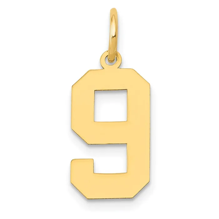TreasureFineJewelers Charm Necklaces 14k Medium Polished Number 9 Charm