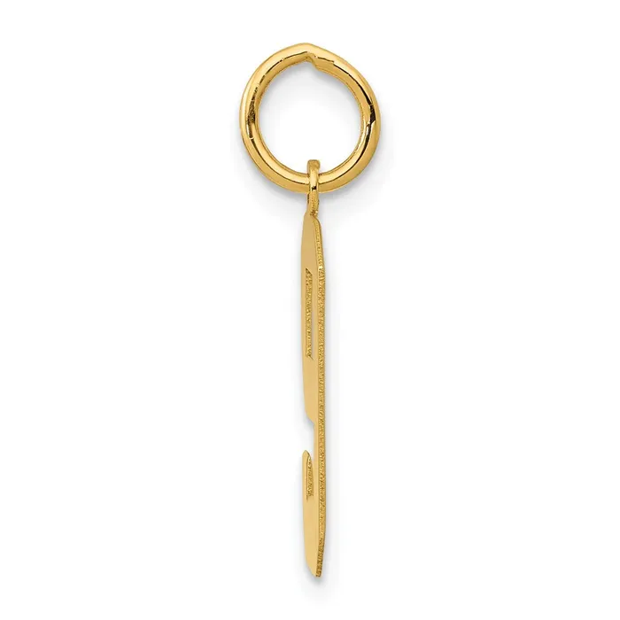 TreasureFineJewelers Charm Necklaces 14k Medium Polished Number 9 Charm